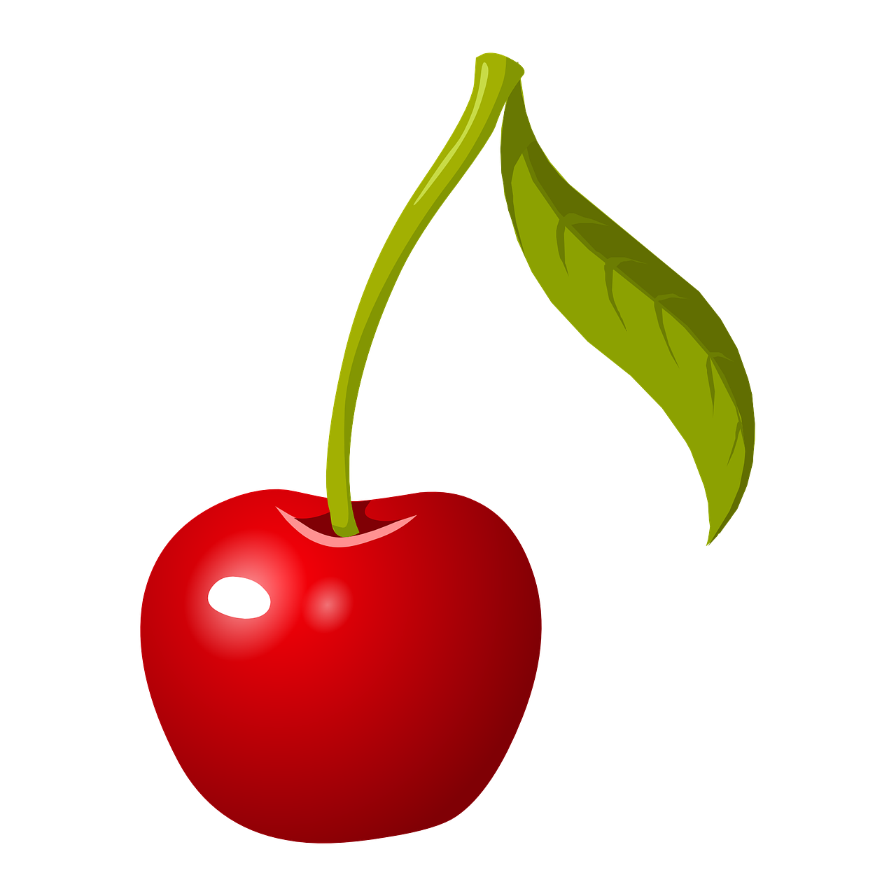 cherry, fruit, food-575547.jpg